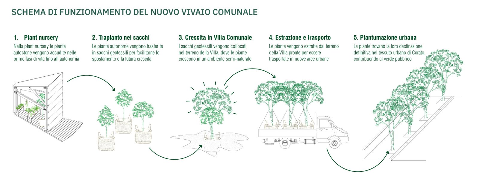 04 SCHEMA VIVAIO